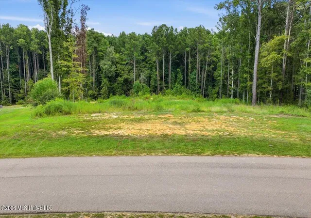 Photo 1 of Sale Pending at Dogwood Tr, Brandon, MS 39042 | MLS# 4161679 | Listing updated on 2026-09-16