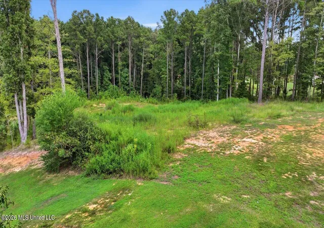 Photo 3 of Sale Pending at Dogwood Tr, Brandon, MS 39042 | MLS# 4161679 | Listing updated on 2026-09-16