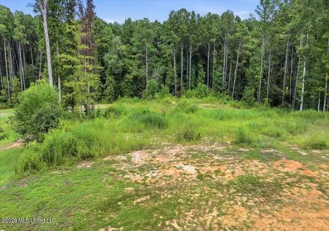 Photo 3 of Sale Pending at Dogwood Tr, Brandon, MS 39042 | MLS# 4161679 | Listing updated on 2026-09-16