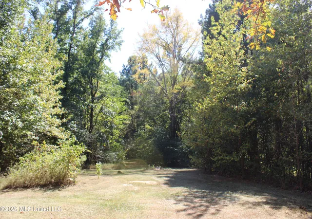 Photo 33 of Single family home for sale at 289 Saint Paul Rd, Byhalia, MS 38611 | MLS# 4161735 | Listing updated on 2026-09-10