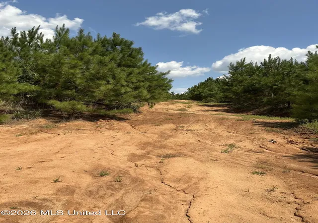 Photo 18 of Land for sale at Smithtown Rd, Tylertown, MS 39667 | MLS# 4161745 | Listing updated on 2026-09-08