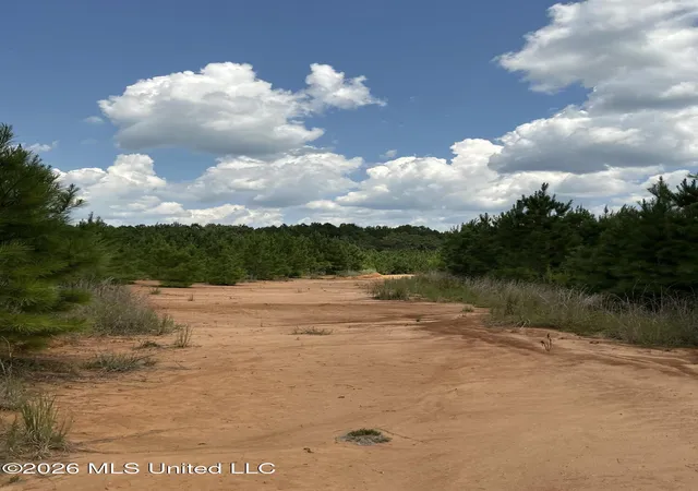 Photo 1 of Land for sale at Smithtown Rd, Tylertown, MS 39667 | MLS# 4161745 | Listing updated on 2026-09-08