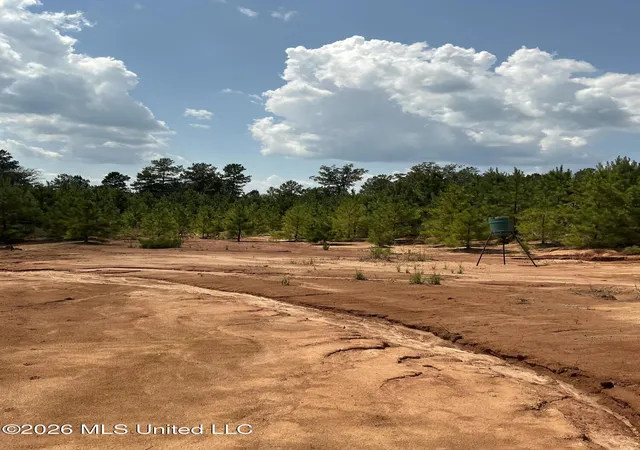 Photo 2 of Land for sale at Smithtown Rd, Tylertown, MS 39667 | MLS# 4161745 | Listing updated on 2026-09-08