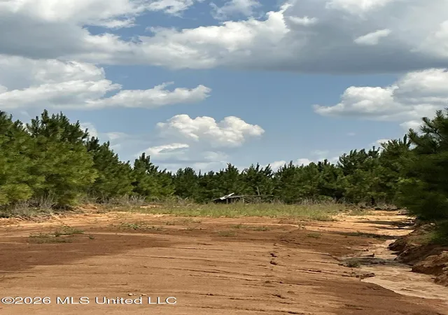 Photo 3 of Land for sale at Smithtown Rd, Tylertown, MS 39667 | MLS# 4161745 | Listing updated on 2026-09-08