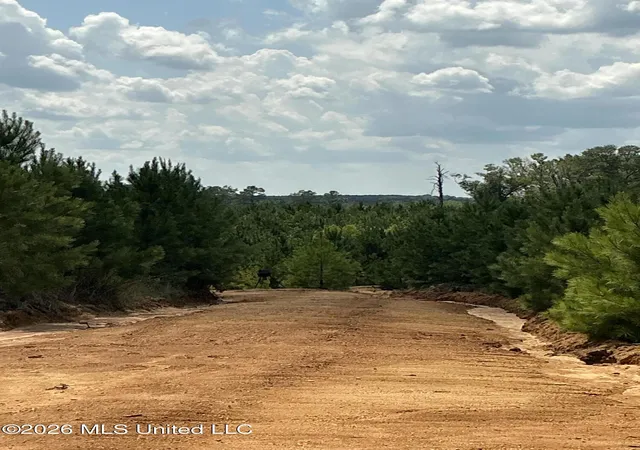 Photo 4 of Land for sale at Smithtown Rd, Tylertown, MS 39667 | MLS# 4161745 | Listing updated on 2026-09-08