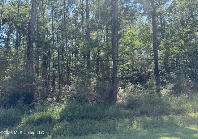 Photo 2 of Land for sale at E Itawamba St, Bay Saint Louis, MS 39520 | MLS# 4161815 | Listing updated on 2026-09-08