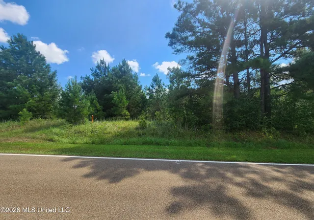 Photo 1 of Land for sale at Ne Old Hwy 51, Wesson, MS 39191 | MLS# 4161811 | Listing updated on 2026-09-08