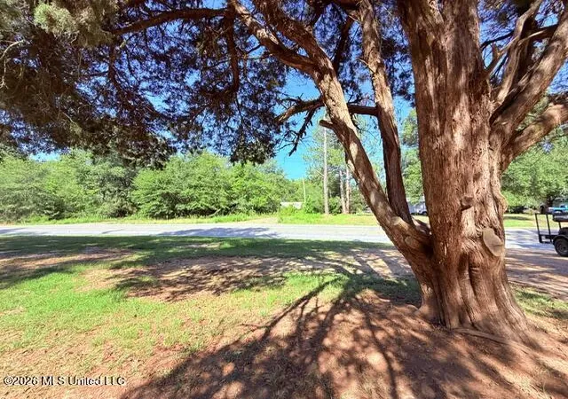 Photo 2 of Single family home for sale at 196 Ms 27, Tylertown, MS 39667 | MLS# 4161758 | Listing updated on 2026-09-08