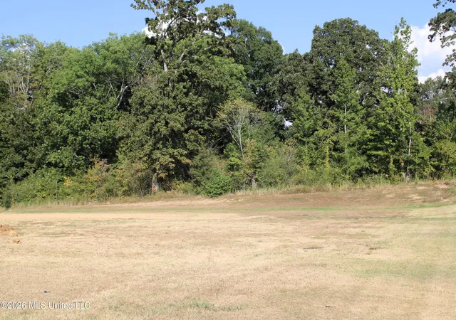 Photo 3 of Land for sale at 750 Red Cedar Loop, Hernando, MS 38632 | MLS# 4161862 | Listing updated on 2026-09-09