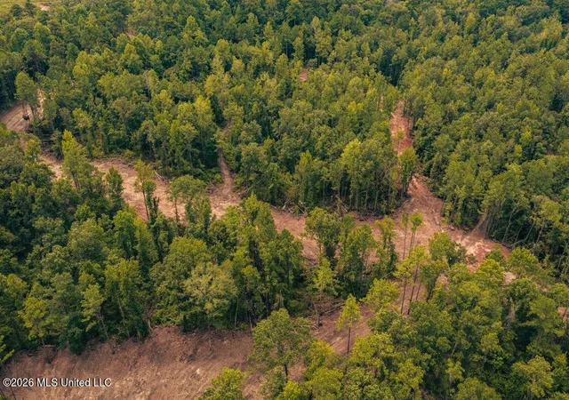 Photo 2 of Land for sale at 3 Smyrna Rd Sw, Meadville, MS 39653 | MLS# 4161748 | Listing updated on 2026-09-08