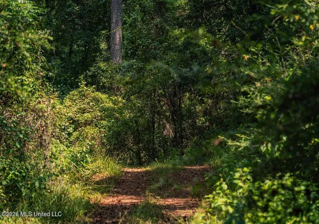 Photo 44 of Land for sale at 3 Smyrna Rd Sw, Meadville, MS 39653 | MLS# 4161748 | Listing updated on 2026-09-08