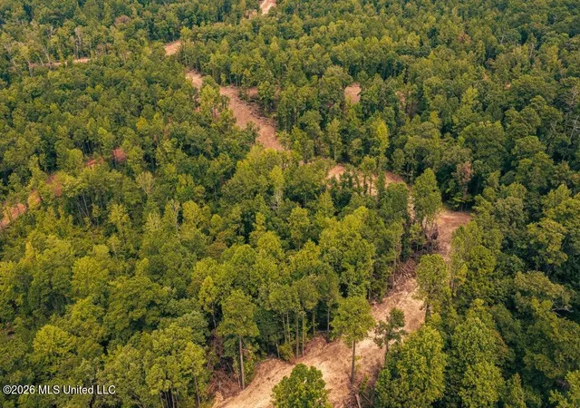 Photo 3 of Land for sale at 3 Smyrna Rd SW, Meadville, MS 39653 | MLS# 4161748 | Listing updated on 2026-09-08