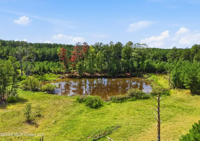 Photo 3 of Land for sale at Ms 35, Carthage, MS 39051 | MLS# 4162177 | Listing updated on 2026-09-11