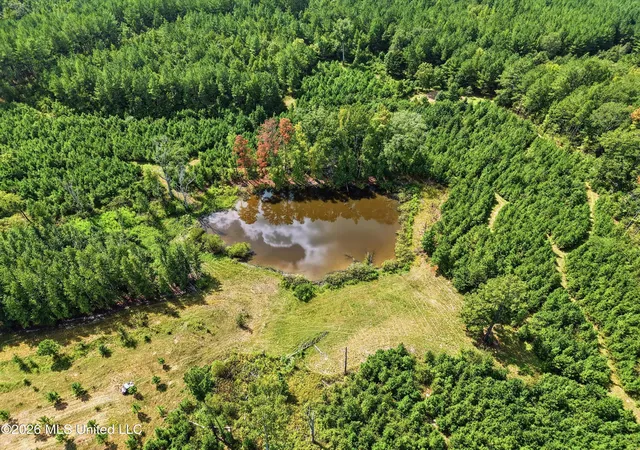 Photo 3 of Land for sale at Ms 35, Carthage, MS 39051 | MLS# 4162177 | Listing updated on 2026-09-11