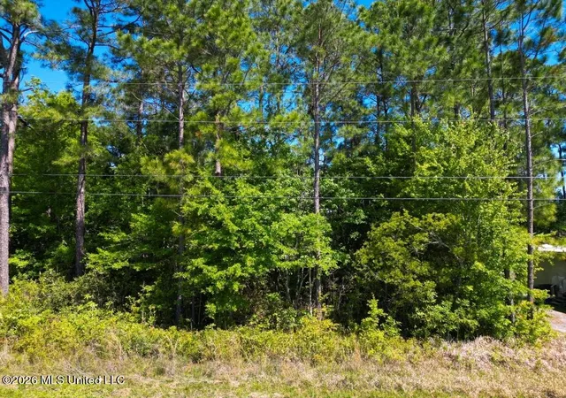 Photo 3 of Land for sale at 1616 Wynedote Dr, Gautier, MS 39553 | MLS# 4161767 | Listing updated on 2026-09-17