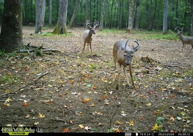 Photo 1 of Land for sale at Owen Boone, Brandon, MS 39042 | MLS# 4161774 | Listing updated on 2026-09-10