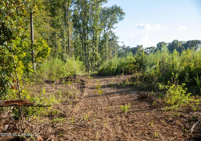 Photo 2 of Land for sale at Owen Boone Rd, Brandon, MS 39042 | MLS# 4161781 | Listing updated on 2026-09-10