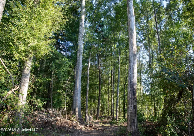 Photo 3 of Land for sale at Owen Boone Rd, Brandon, MS 39042 | MLS# 4161781 | Listing updated on 2026-09-10