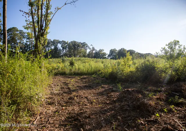 Photo 4 of Land for sale at Owen Boone Rd, Brandon, MS 39042 | MLS# 4161781 | Listing updated on 2026-09-10