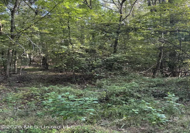Photo 1 of Land for sale at 15 Aberdeen Rd, Natchez, MS 39120 | MLS# 4162213 | Listing updated on 2026-09-11
