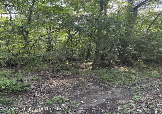 Photo 2 of Land for sale at 15 Aberdeen Rd, Natchez, MS 39120 | MLS# 4162213 | Listing updated on 2026-09-11