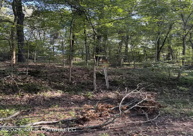 Photo 3 of Land for sale at 15 Aberdeen Rd, Natchez, MS 39120 | MLS# 4162213 | Listing updated on 2026-09-11