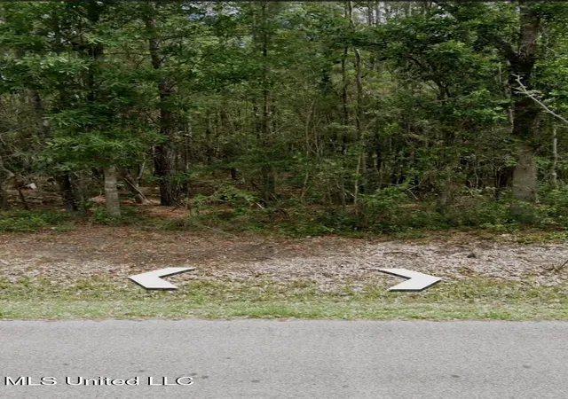 Photo 3 of Land for sale at Joe's Byp Rd, Bay Saint Louis, MS 39520 | MLS# 4161812 | Listing updated on 2026-09-09