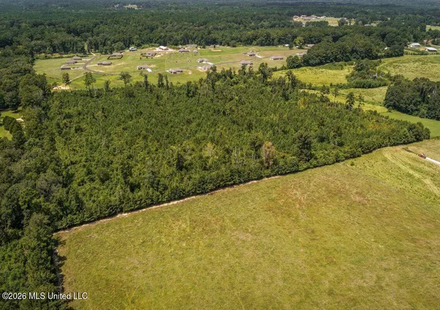 Photo 2 of Land for sale at Xxx Driftwood Rd, Summit, MS 39666 | MLS# 4161885 | Listing updated on 2026-09-09