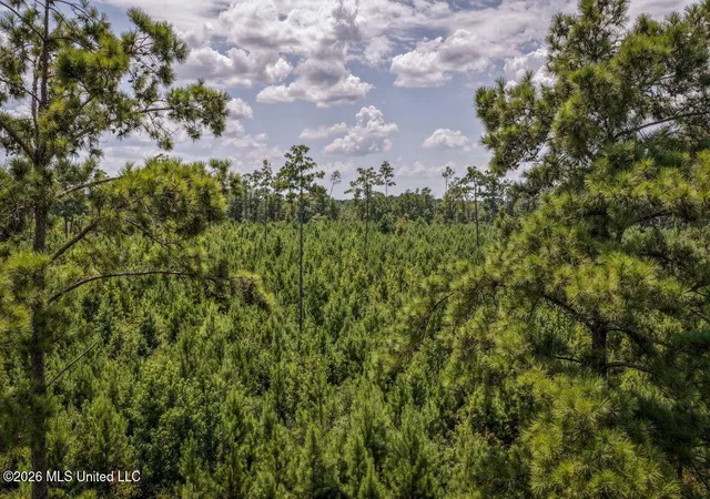 Photo 4 of Land for sale at Xxx Driftwood Rd, Summit, MS 39666 | MLS# 4161885 | Listing updated on 2026-09-09