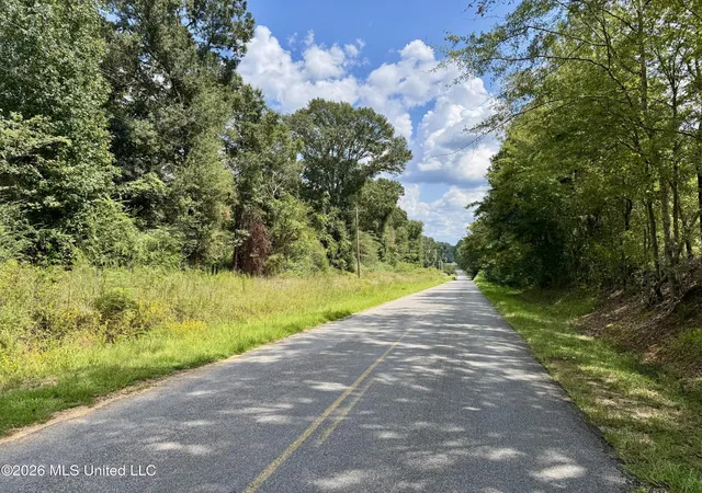 Photo 2 of Land for sale at 0000 Scr 563, Polkville, MS 39117 | MLS# 4161904 | Listing updated on 2026-09-09