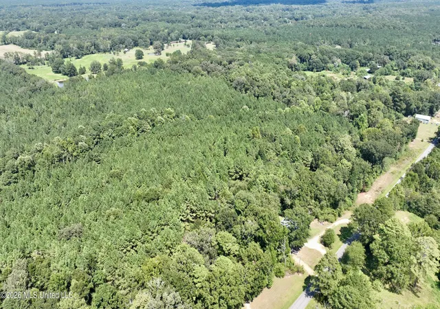 Photo 3 of Land for sale at 0000 Scr 563, Polkville, MS 39117 | MLS# 4161904 | Listing updated on 2026-09-09