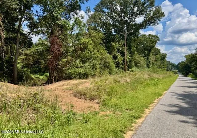 Photo 3 of Land for sale at 0000 Scr 563, Polkville, MS 39117 | MLS# 4161904 | Listing updated on 2026-09-09