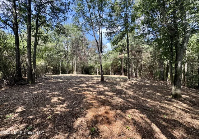 Photo 4 of Land for sale at 0000 Scr 563, Polkville, MS 39117 | MLS# 4161904 | Listing updated on 2026-09-09
