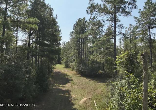 Photo 1 of Sale Pending at 40 J W Jones Rd, Oak Vale, MS 39656 | MLS# 4161886 | Listing updated on 2026-10-29