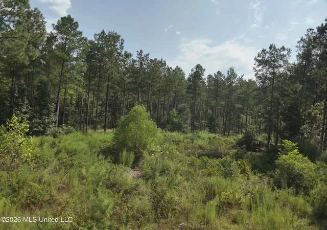 Photo 2 of Sale Pending at 40 J W Jones Rd, Oak Vale, MS 39656 | MLS# 4161886 | Listing updated on 2026-10-29