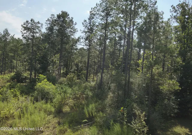 Photo 3 of Sale Pending at 40 J W Jones Rd, Oak Vale, MS 39656 | MLS# 4161886 | Listing updated on 2026-10-29