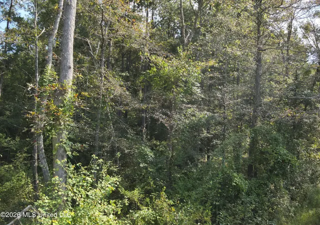 Photo 2 of Sale Pending at Jw Jones, Oak Vale, MS 39656 | MLS# 4161884 | Listing updated on 2026-10-29
