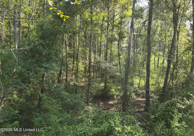 Photo 4 of Sale Pending at Jw Jones, Oak Vale, MS 39656 | MLS# 4161884 | Listing updated on 2026-10-29