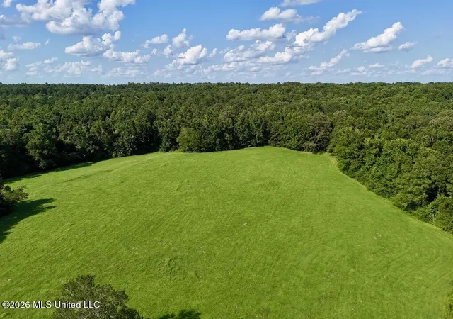 Photo 17 of Land for sale at 006 Monticello Rd, Wesson, MS 39191 | MLS# 4161907 | Listing updated on 2026-09-10
