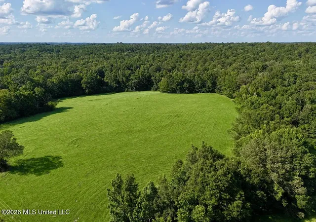 Photo 2 of Land for sale at 006 Monticello Rd, Wesson, MS 39191 | MLS# 4161907 | Listing updated on 2026-09-10