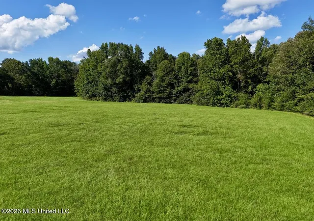 Photo 3 of Land for sale at 006 Monticello Rd, Wesson, MS 39191 | MLS# 4161907 | Listing updated on 2026-09-10