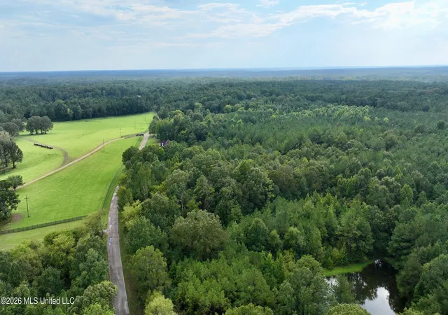 Land for sale at 0001 Tithelo Rd, Canton, MS 39046 | MLS# 4161910