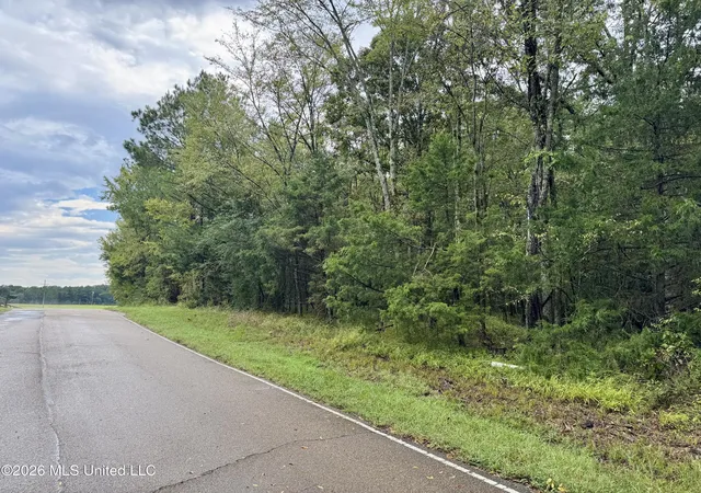 Photo 1 of Land for sale at 0001 Tithelo Rd, Canton, MS 39046 | MLS# 4161910 | Listing updated on 2026-09-09