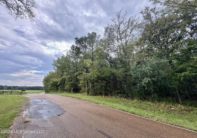 Photo 3 of Land for sale at 0001 Tithelo Rd, Canton, MS 39046 | MLS# 4161910 | Listing updated on 2026-09-09