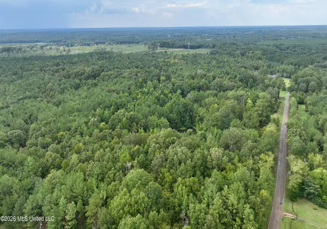 Photo 4 of Land for sale at 0001 Tithelo Rd, Canton, MS 39046 | MLS# 4161910 | Listing updated on 2026-09-09