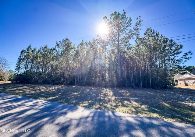 Photo 3 of Land for sale at Dill Rd, Saucier, MS 39574 | MLS# 4162229 | Listing updated on 2026-09-11