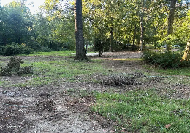Photo 3 of Land for sale at 77 Magnolia Acres Rd, Natchez, MS 39120 | MLS# 4162160 | Listing updated on 2026-09-11