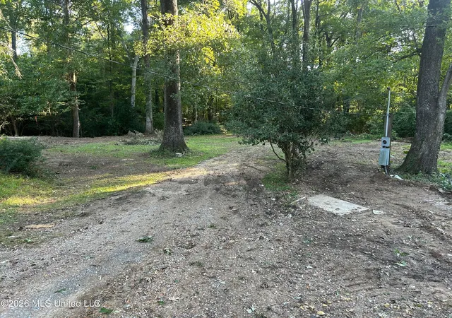Photo 4 of Land for sale at 77 Magnolia Acres Rd, Natchez, MS 39120 | MLS# 4162160 | Listing updated on 2026-09-11