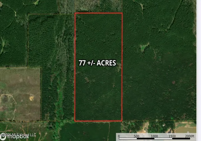 Land for sale at Ratliff Fry Rd, Canton, MS 39046 | MLS# 4161934