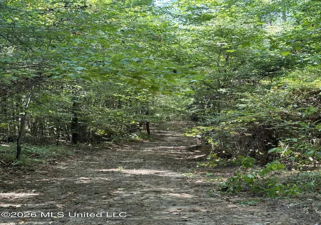 Photo 2 of Land for sale at Ratliff Fry Rd, Canton, MS 39046 | MLS# 4161934 | Listing updated on 2026-09-09